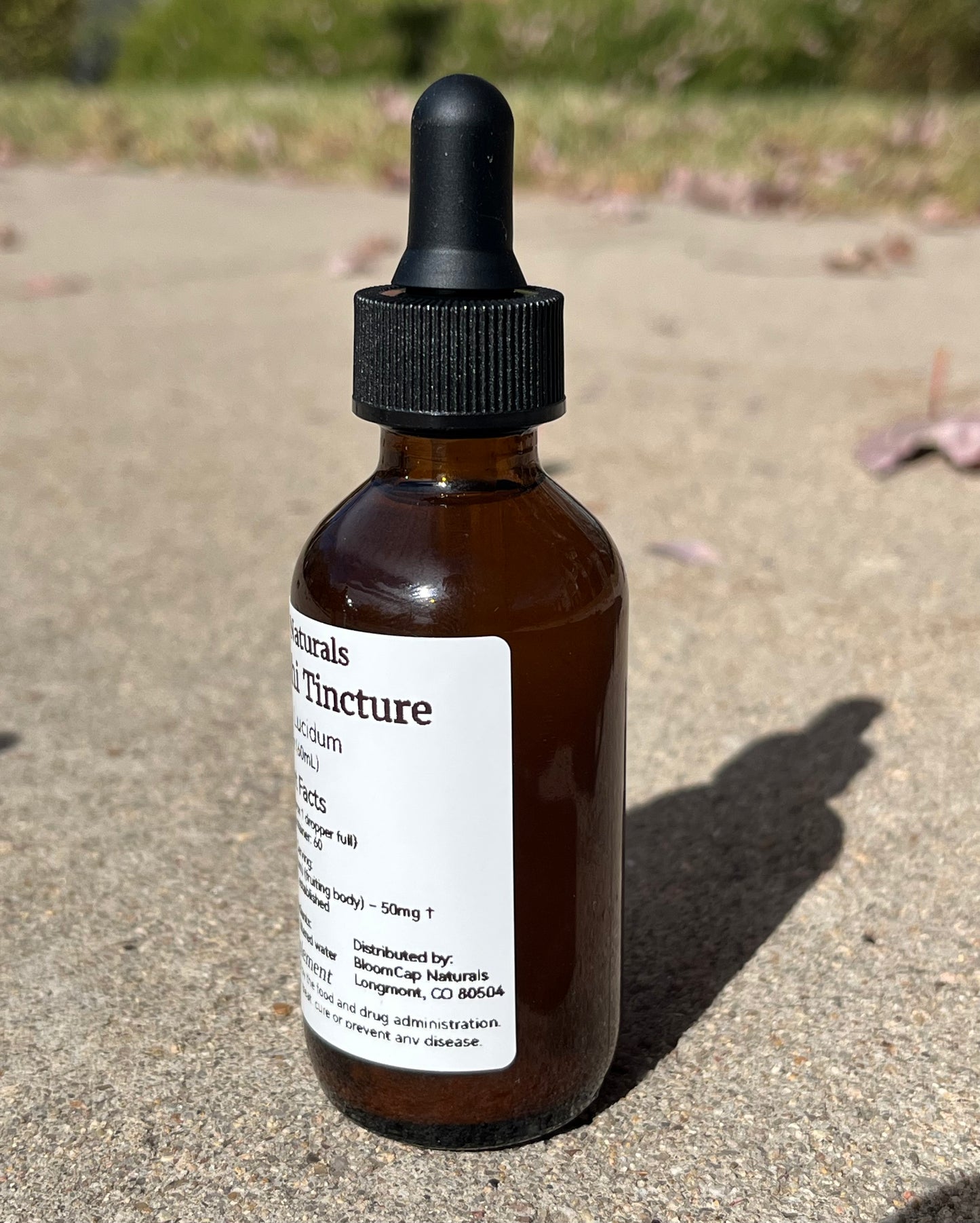 Organic Reishi Triple-Extract Tincture ~ Immune Balance • Stress Support | 2 fl oz