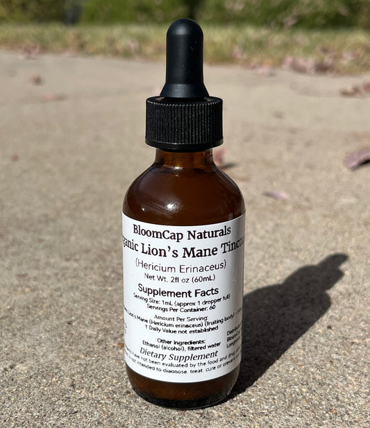 Organic Lion’s Mane Triple-Extract Tincture Focus • Memory • Nerve Support | 2 fl oz