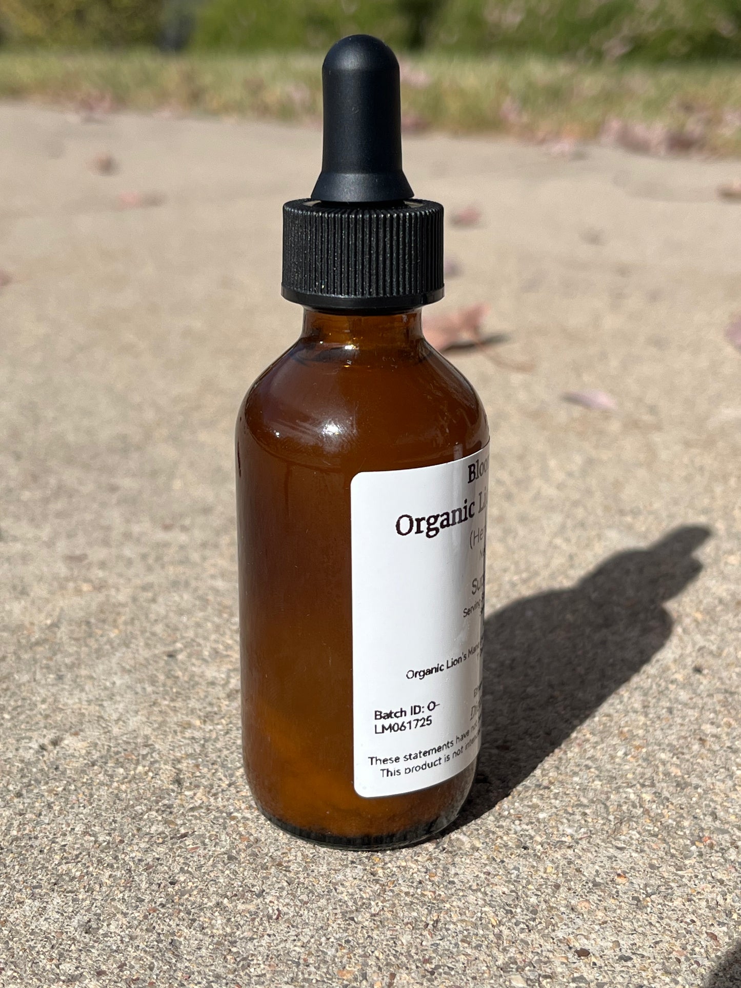 Organic Lion’s Mane Triple-Extract Tincture ~ Focus • Memory • Nerve Support | 2 fl oz