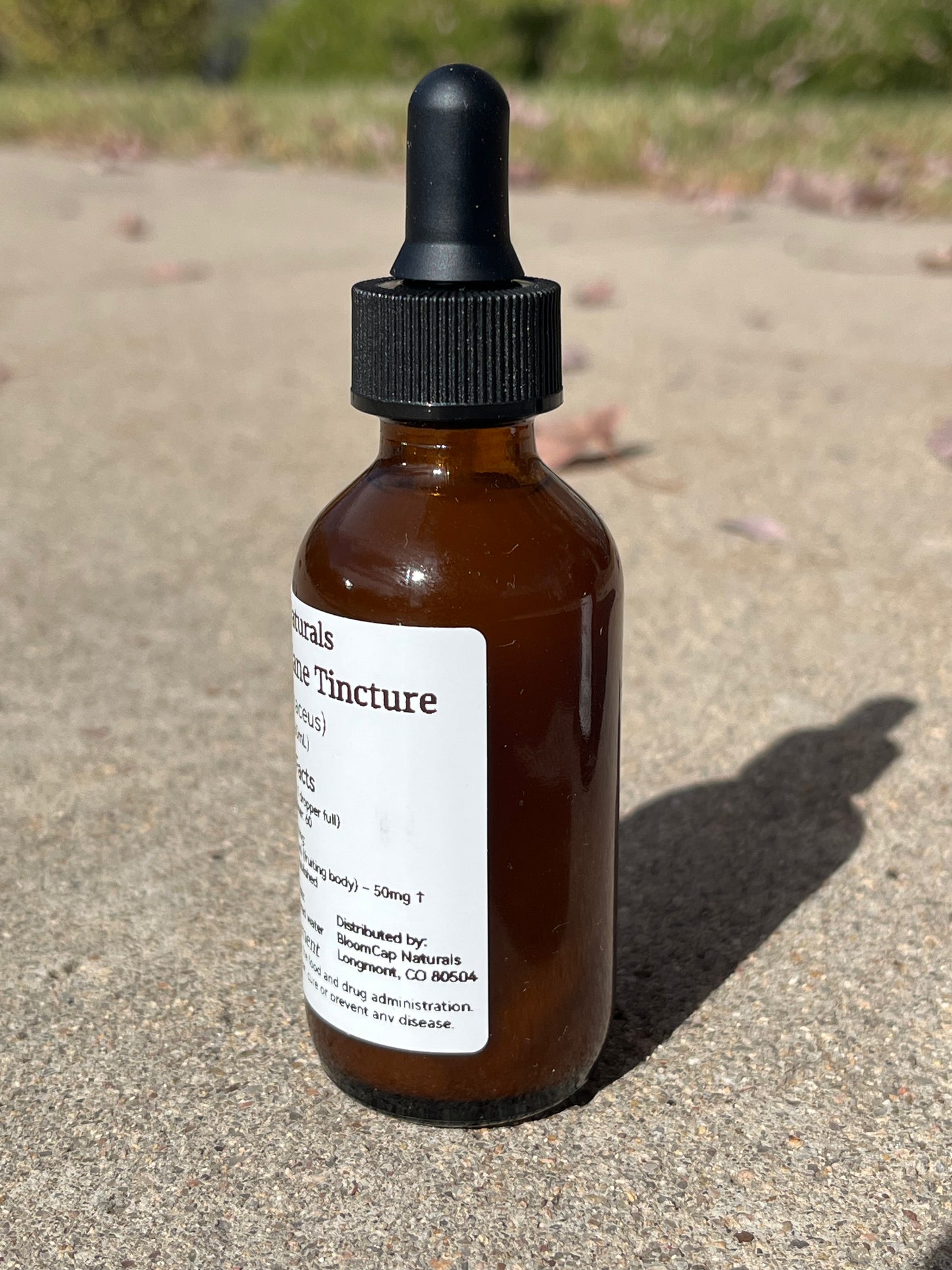 Organic Lion’s Mane Triple-Extract Tincture ~ Focus • Memory • Nerve Support | 2 fl oz