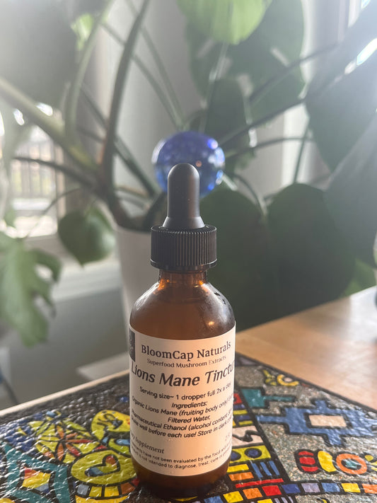 Organic Lion’s Mane Dual-Extract Tincture Focus • Memory • Nerve Support | 2 fl oz